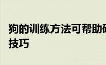 狗的训练方法可帮助研究人员教机器人学习新技巧