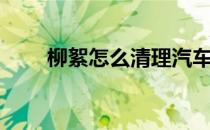 柳絮怎么清理汽车（柳絮怎么清理）