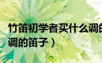 竹笛初学者买什么调的笛（竹笛初学者买什么调的笛子）