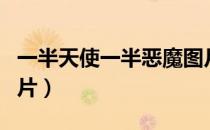 一半天使一半恶魔图片（一半天使一半恶魔图片）
