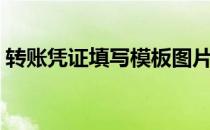 转账凭证填写模板图片（转账凭证填写样本）