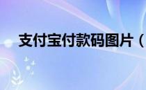支付宝付款码图片（支付宝付款吗照片）
