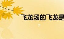 飞龙汤的飞龙是什么（飞龙汤）