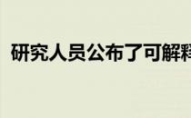 研究人员公布了可解释人工智能的调查结果