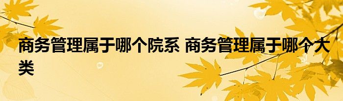 商务管理属于哪个院系 商务管理属于哪个大类