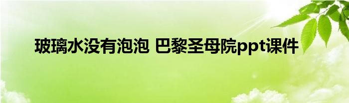 玻璃水没有泡泡 巴黎圣母院ppt课件
