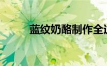 蓝纹奶酪制作全过程（蓝纹奶酪）