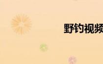 野钓视频（野钓）