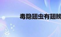 毒隐翅虫有翅膀吗（毒隐翅虫）