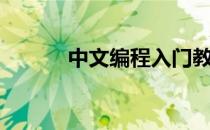 中文编程入门教学（中文编程）