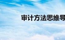 审计方法思维导图（审计方法）