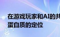 在游戏玩家和AI的共同帮助下改善了细胞和蛋白质的定位