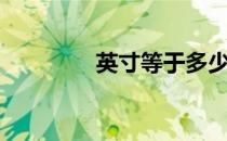 英寸等于多少厘米（英寸）
