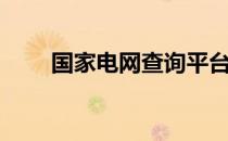 国家电网查询平台（国家电网查询）