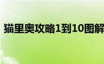 猫里奥攻略1到10图解（猫里奥攻略第一关）