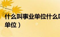 什么叫事业单位什么叫行政单位（什么叫事业单位）