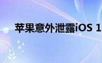 苹果意外泄露iOS 14开发人员预览资料