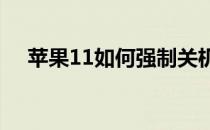 苹果11如何强制关机,这种方法供你选择