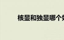 核显和独显哪个好（核显和独显）
