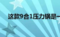 这款9合1压力锅是一款便宜 方便的工具