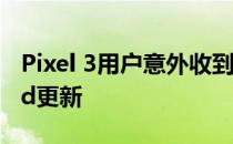 Pixel 3用户意外收到仅限Googler的Android更新