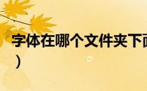 字体在哪个文件夹下面（字体在哪个文件夹里）
