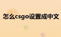 怎么csgo设置成中文（argo怎么设置中文）