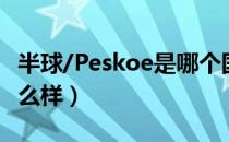 半球/Peskoe是哪个国家的品牌（什么档次怎么样）