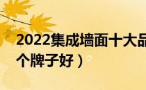 2022集成墙面十大品牌排行榜（集成墙面哪个牌子好）