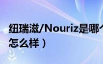 纽瑞滋/Nouriz是哪个国家的品牌（什么档次怎么样）