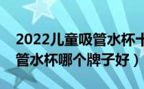2022儿童吸管水杯十大品牌排行榜（儿童吸管水杯哪个牌子好）