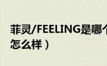 菲灵/FEELING是哪个国家的品牌（什么档次怎么样）