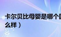 卡尔贝比母婴是哪个国家的品牌（什么档次怎么样）