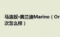 马连奴•奥兰迪Marino（Orlandi是哪个国家的品牌 什么档次怎么样）