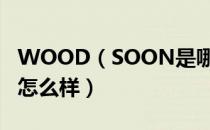 WOOD（SOON是哪个国家的品牌 什么档次怎么样）