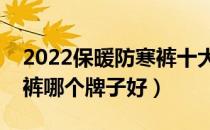 2022保暖防寒裤十大品牌排行榜（保暖防寒裤哪个牌子好）