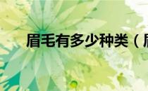 眉毛有多少种类（眉毛的种类有哪些）