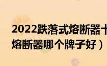 2022跌落式熔断器十大品牌排行榜（跌落式熔断器哪个牌子好）