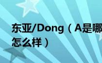 东亚/Dong（A是哪个国家的品牌 什么档次怎么样）