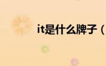 it是什么牌子（it是什么牌子）