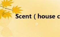 Scent（house coco是什么香水）