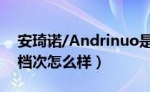 安琦诺/Andrinuo是哪个国家的品牌（什么档次怎么样）