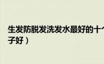 生发防脱发洗发水最好的十个牌子（防脱发洗发水买什么牌子好）