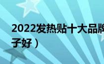 2022发热贴十大品牌排行榜（发热贴哪个牌子好）