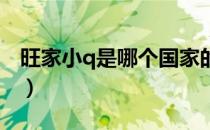 旺家小q是哪个国家的品牌（什么档次怎么样）