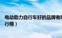 电动助力自行车好的品牌有哪些（电助力自行车十大品牌排行榜）