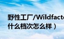 野性工厂/Wildfactory是哪个国家的品牌（什么档次怎么样）