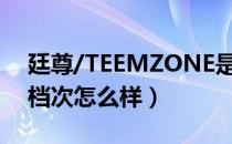 廷尊/TEEMZONE是哪个国家的品牌（什么档次怎么样）