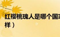 红樱桃瑰人是哪个国家的品牌（什么档次怎么样）