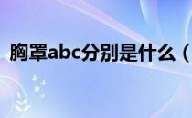 胸罩abc分别是什么（胸罩abc是什么意思）